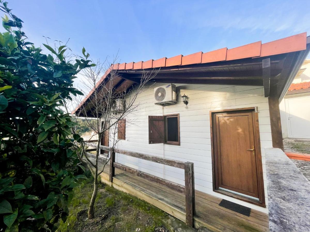 Jantesta Guest House Coimbra Kültér fotó