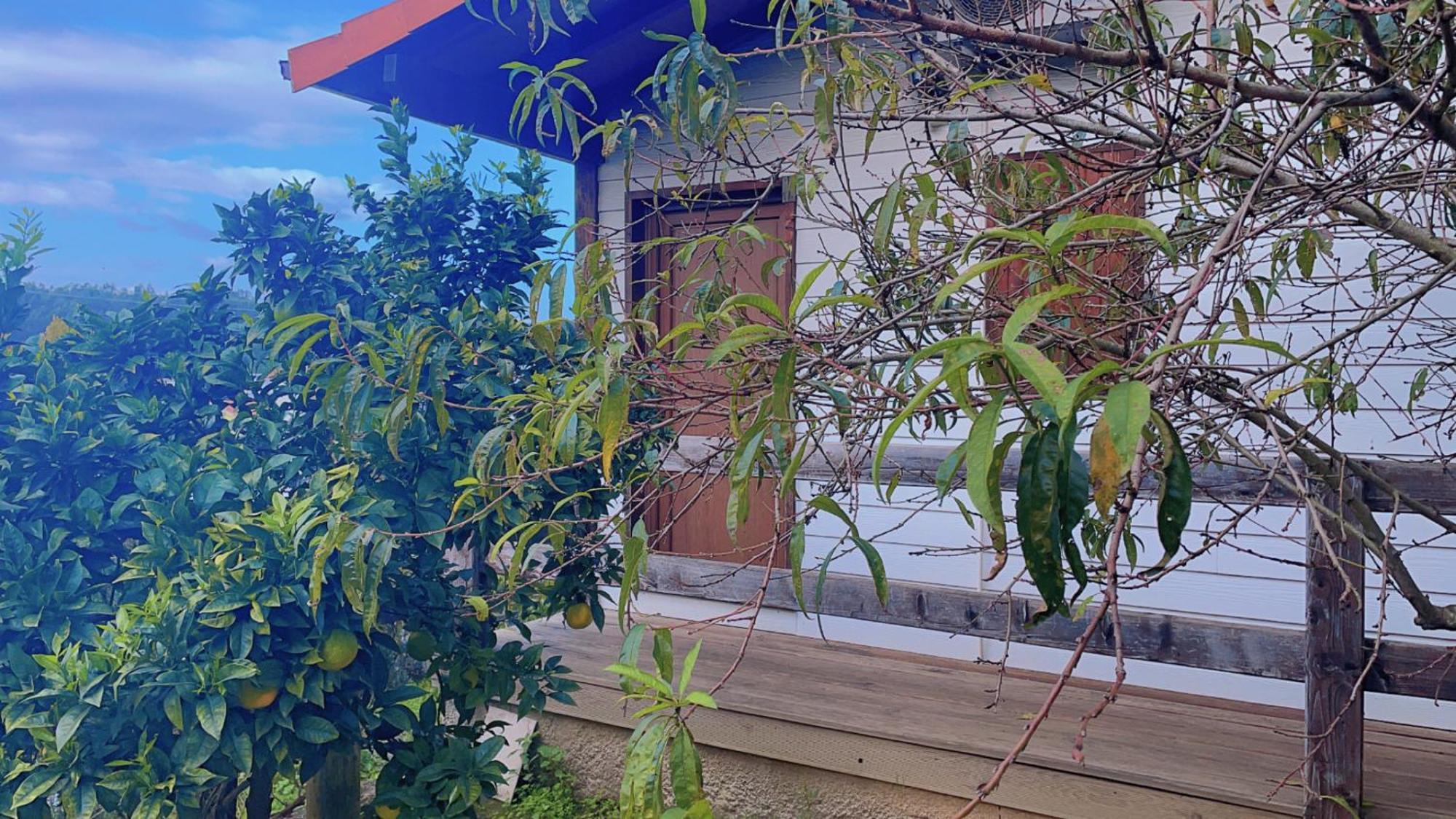Jantesta Guest House Coimbra Kültér fotó